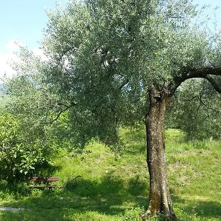 Ca' Dei Gatti * Toscolano Maderno