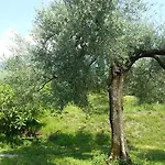 Ca' Dei Gatti * Toscolano Maderno