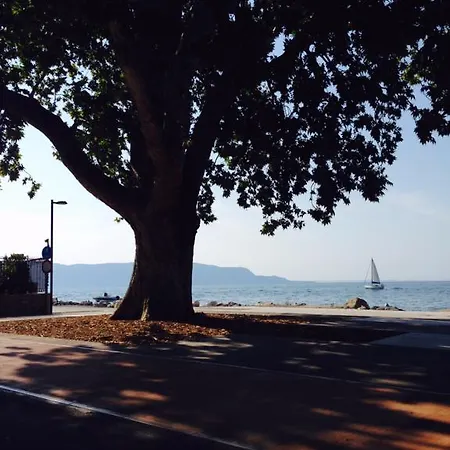 Ca' Dei Gatti בית נופש טוסקולנו מדרנו